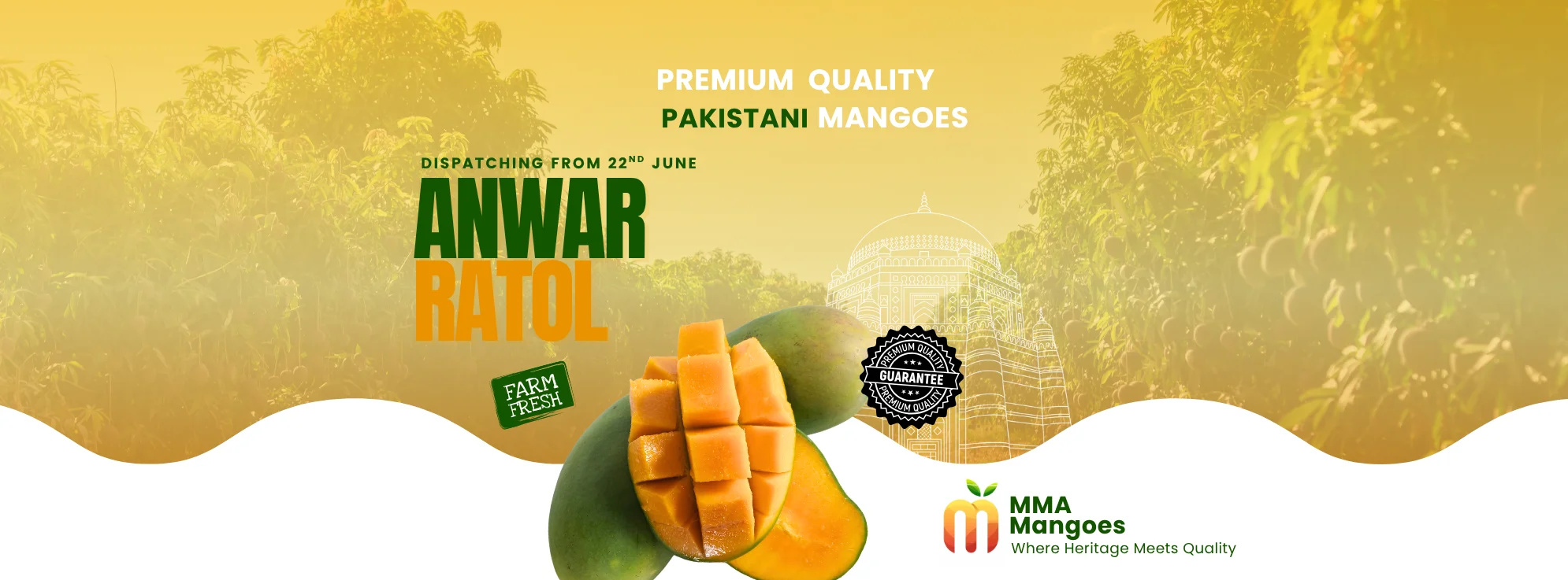 12 Number Ratol mango banner — premium 12 Number Ratol from MMA Farms Multan