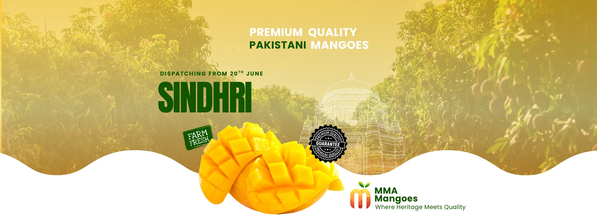 Sindhri mango banner — premium Sindhri from MMA Farms Multan