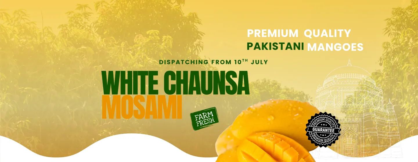 White Chaunsa Mosami — Dispatching from 3rd July | MMA Farms