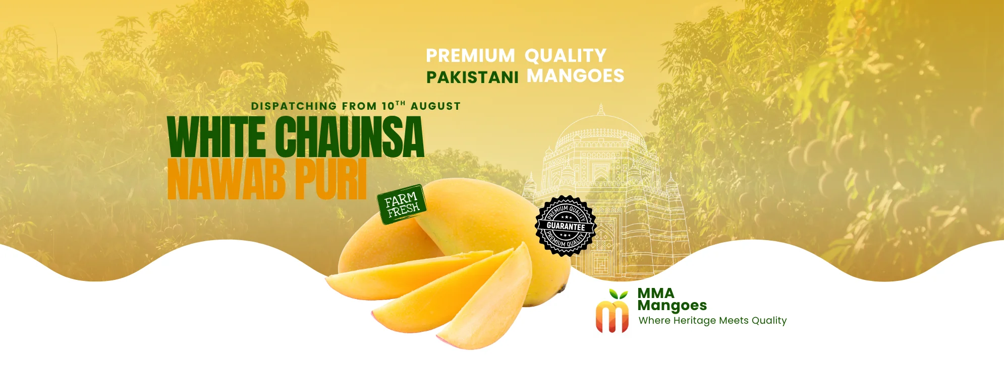White Chaunsa Nawab Puri mango banner — premium White Chaunsa Nawab Puri from MMA Farms Multan