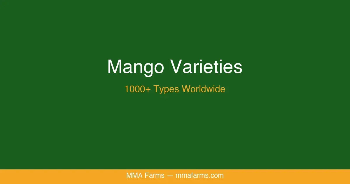 MMA Farms Mango Festival — Tastings, Activities & Variety Showcase