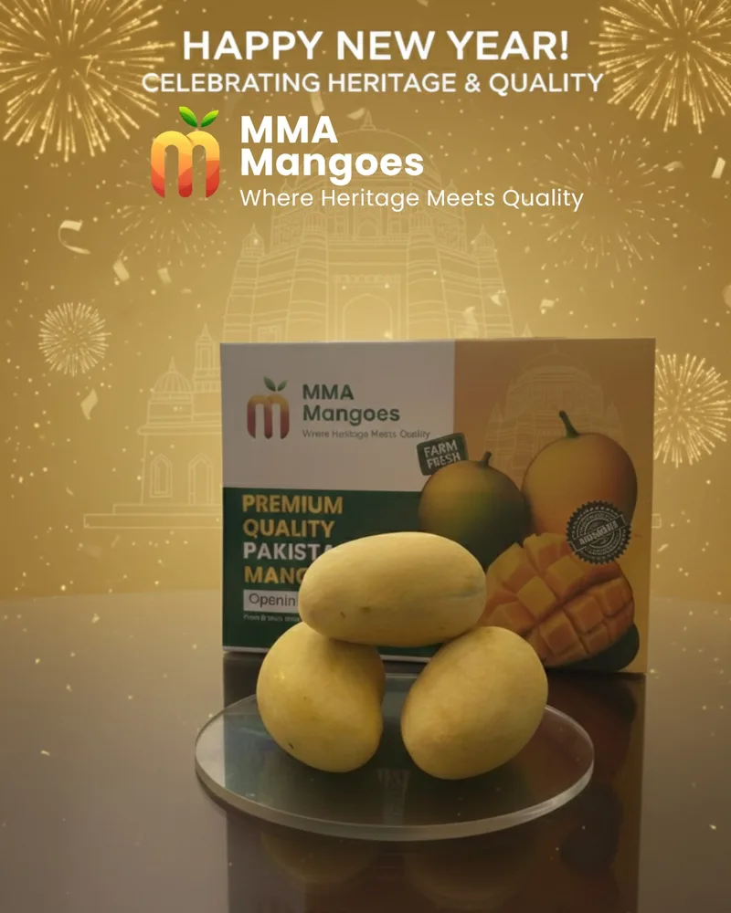 MMA Mangoes premium branded packaging box with fresh Pakistani mangoes - farm to table