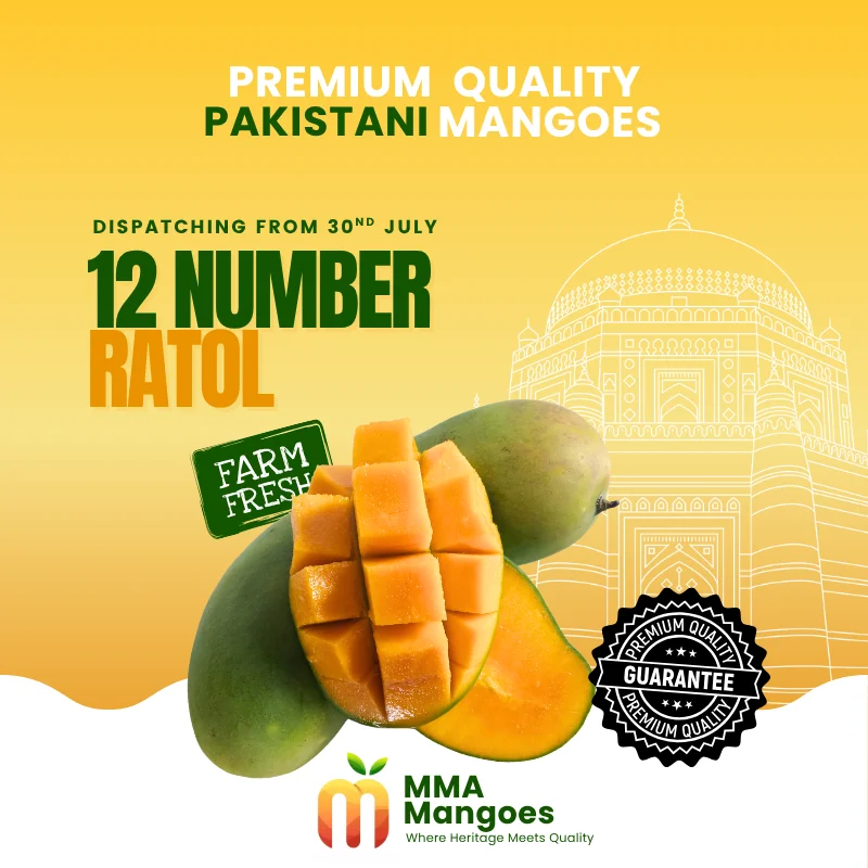 12 Number Ratol (بارہ نمبر رٹول) — fresh Pakistani 12 Number Ratol mango