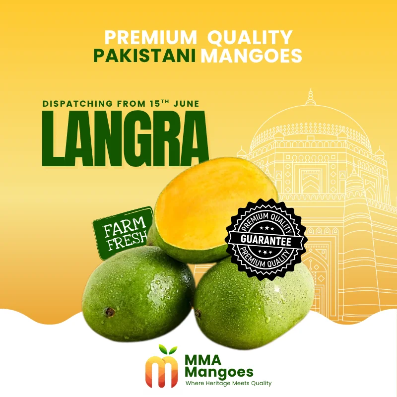 Langra (لنگڑا) — fresh Pakistani Langra mango